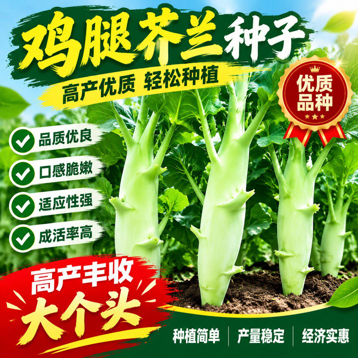 鸡腿芥蓝种子芥兰菜种子秋季播菜园种耐热耐寒农家四季播蔬菜种子