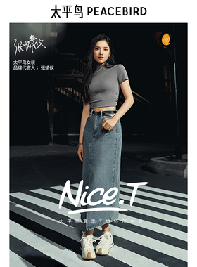 太平鸟女装夏季短袖气质半高领醋酸天丝T恤A1CNE2102