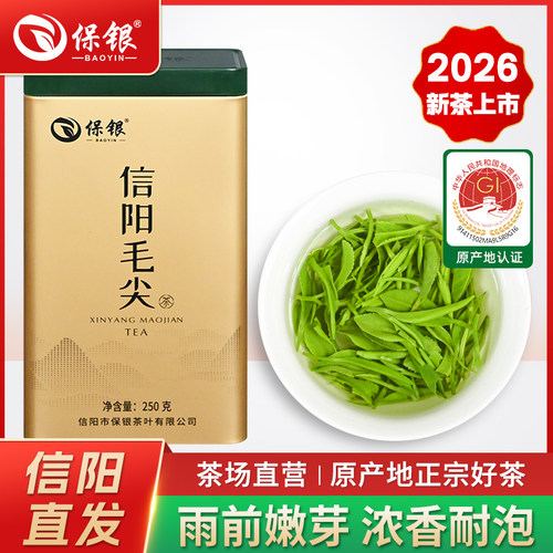 口粮茶信阳毛尖雨前浓香型