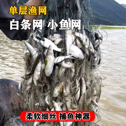 巧小鸭白条餐条小鱼网批发