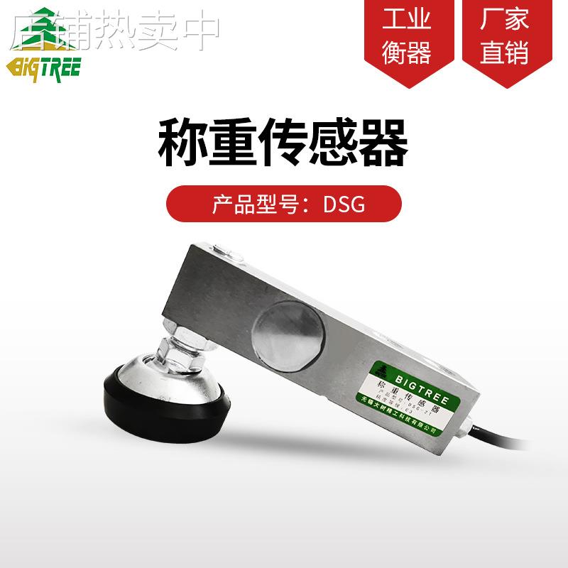 大树衡器称重压力传感器平台秤小地磅悬臂梁1吨2吨3吨500kgDSG