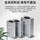 器件 功率因素补偿元 BSMJ0.45自愈式 低压并联电力C电容器无功补偿