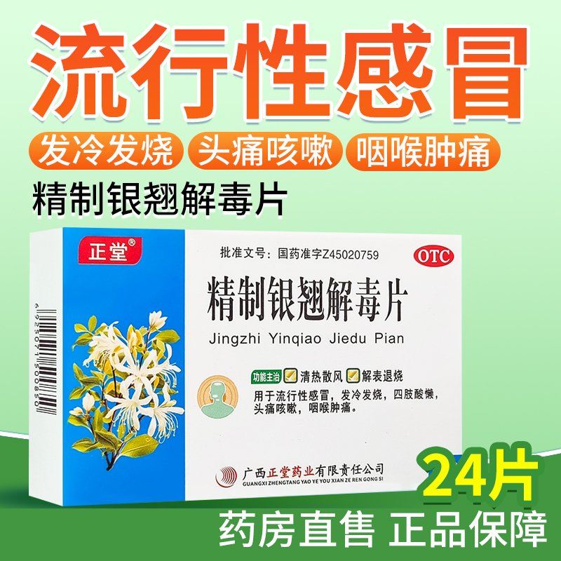 【正堂】精制银翘解毒片44mg*24片/盒