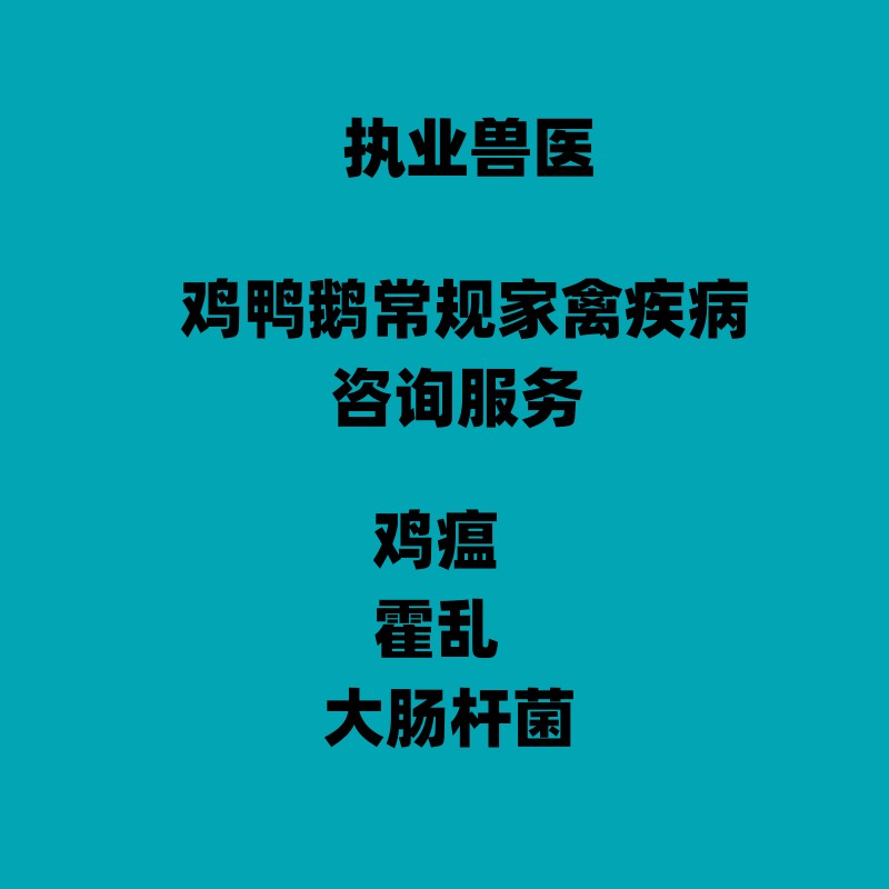 执业兽医老兽医常规鸡鸭鹅宠物家禽疾病腹泻白痢雏鸡开口咨询服务