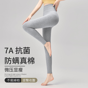 冬季 7A抗菌除螨高腰显瘦保暖裤 内穿棉毛线裤 衬裤 秋裤 打底裤 女新款