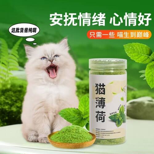猫薄荷超细粉诱导喝水高纯度薄荷