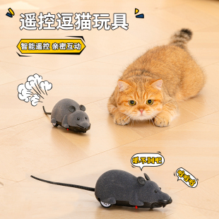 自嗨玩具 猫玩具老鼠无线遥控逗猫老鼠猫咪旋转电动仿真老鼠猫猫