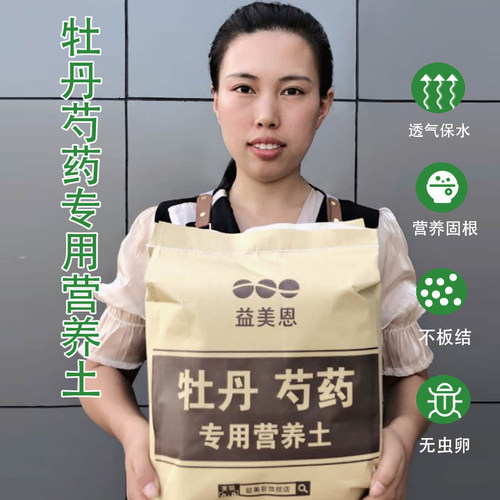 芍药盆栽专用土牡丹花苗
