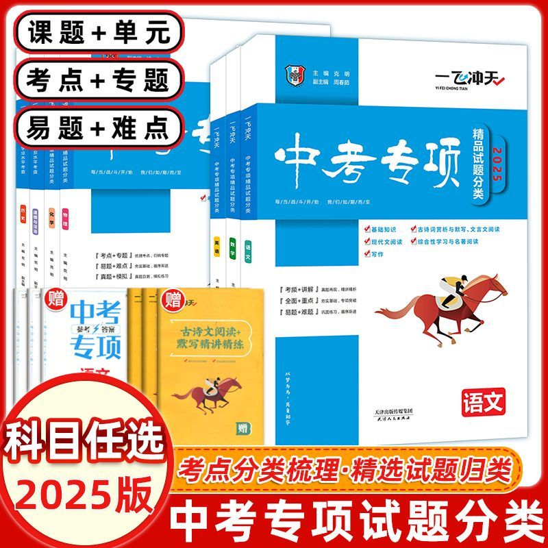 麦芽图书2025版一飞冲天中考专项精品试题