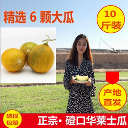 正宗磴口华莱士蜜瓜应季水果巴盟河套黄河甜香瓜 5-6颗-10斤