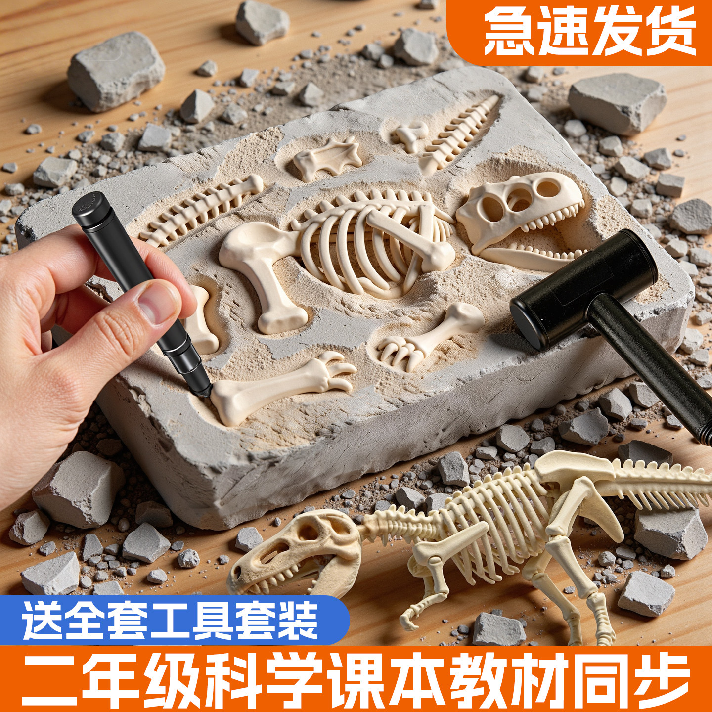 恐龙化石考古挖掘霸王龙骨骼拼装图片