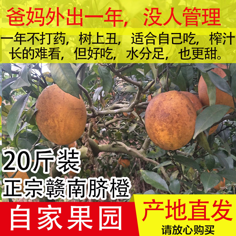 20斤赣南脐橙赣南脐橙