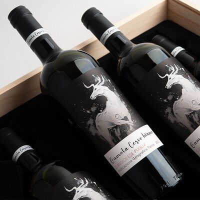 加莫莱·白鹿意大利原瓶进口干红葡萄酒13.5°整箱六瓶礼盒装