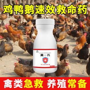 禽类一片养鸡专用急救活一片鸡药大全特效重症死不了鸡药鸡鸭鹅用