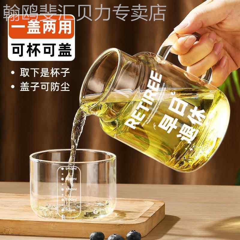 一人饮冷水壶玻璃水壶耐高温家用冷水壶凉水杯大容量冷萃冷泡壶