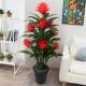 假花彷真花假发财树彷真盆栽客厅绿植大型鸿运当头植物塑料盆景花