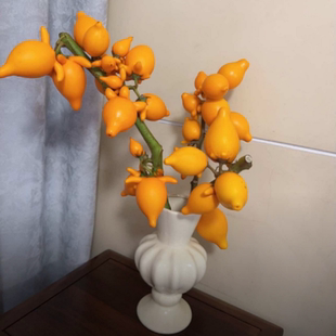 五代同堂黄金果五代果长寿果福禄果乳茄果室内插花牛头果年宵花卉