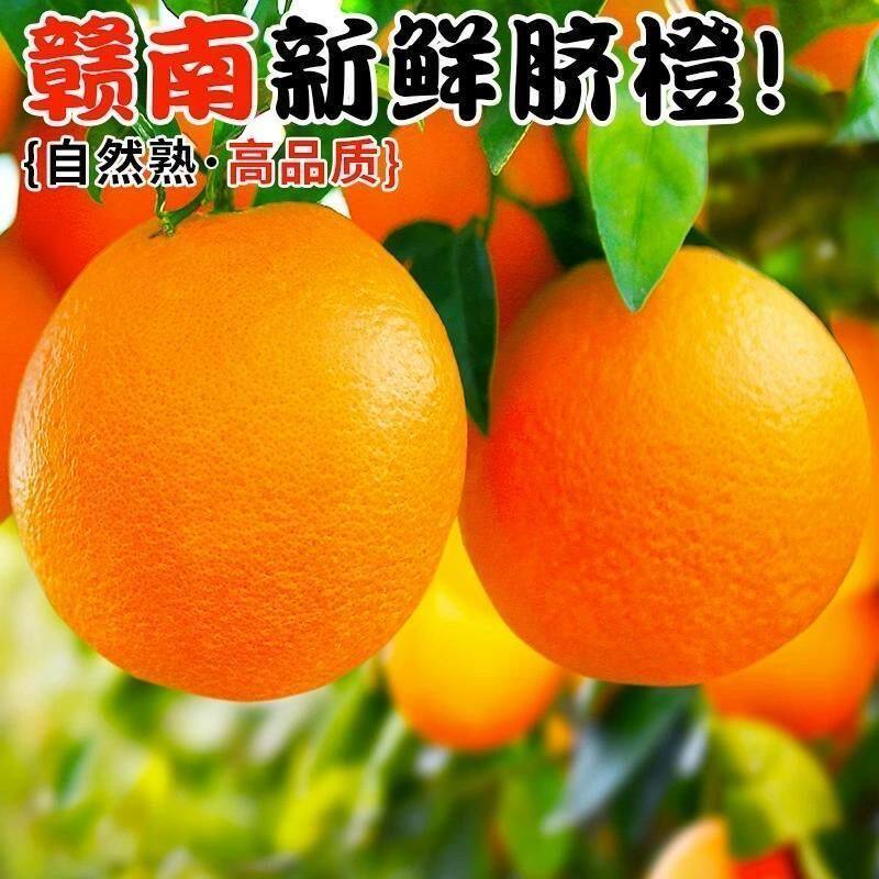 江西赣南脐橙正常储存补充vc水分
