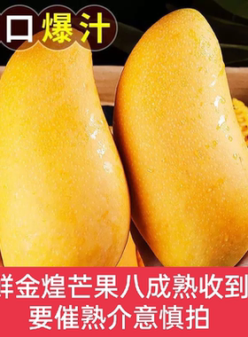 正宗海南金黄芒核薄肉厚树熟芒果
