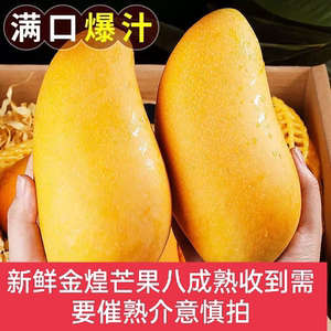 正宗海南金黄芒核薄肉厚树熟芒果