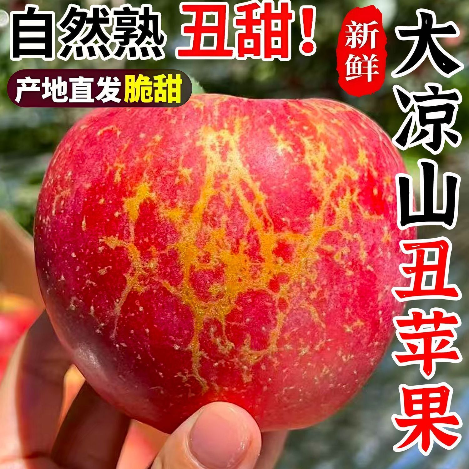 正宗云南丑苹果脆甜多汁营养价值