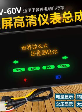 立某马金某箭绿某佳电动车表盘液晶屏总成通用液晶仪表总成码表