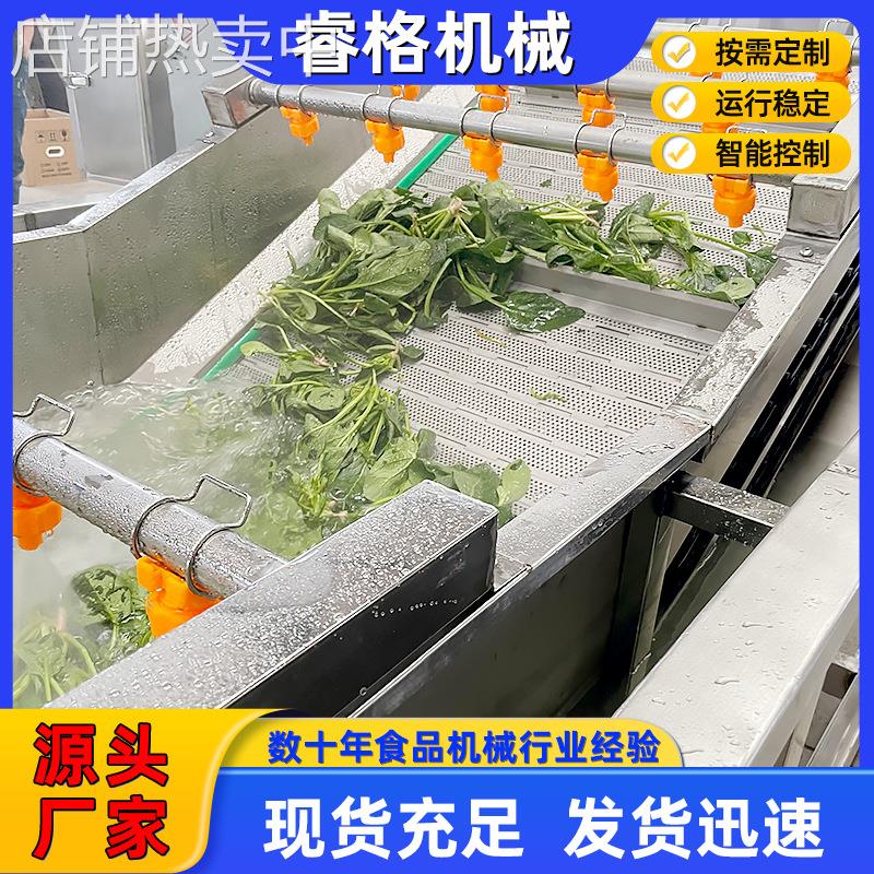 全自动海带菜海白菜清洗机 多功能气泡清洗设备厂家