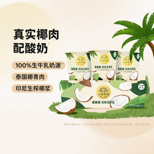 12杯 北海牧场低温酸奶椰椰椰牛奶椰子味风味发酵乳下午茶100g