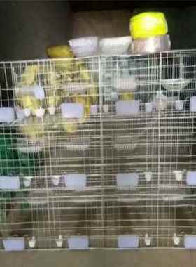 河北利港丝网生产鸽子用品用具加粗12位16位养殖笼信鸽肉鸽配对笼