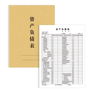 资产负债表和利润表企业个人财务报表公司利润本科目汇总表资金现金流量表工厂工地商店工程会计财务月度报表