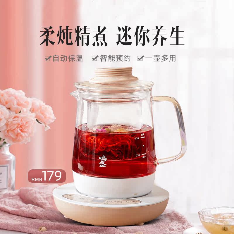 养生壶办公室小型家用花茶煮茶器
