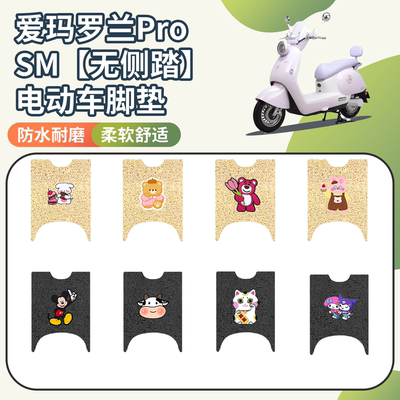 【爱玛罗兰ProSM】专用脚垫