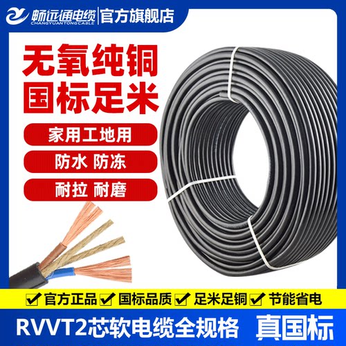 远通电线两芯国标纯铜家用户外电线防水防冻插排线电车充电延长线 - 封面