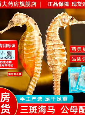海马干货中药饮片中药材海马一公一母海马药材海马官方旗舰店正品