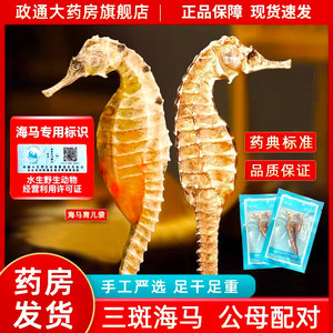 海马干货中药饮片中药材海马一公一母海马药材海马官方旗舰店正品