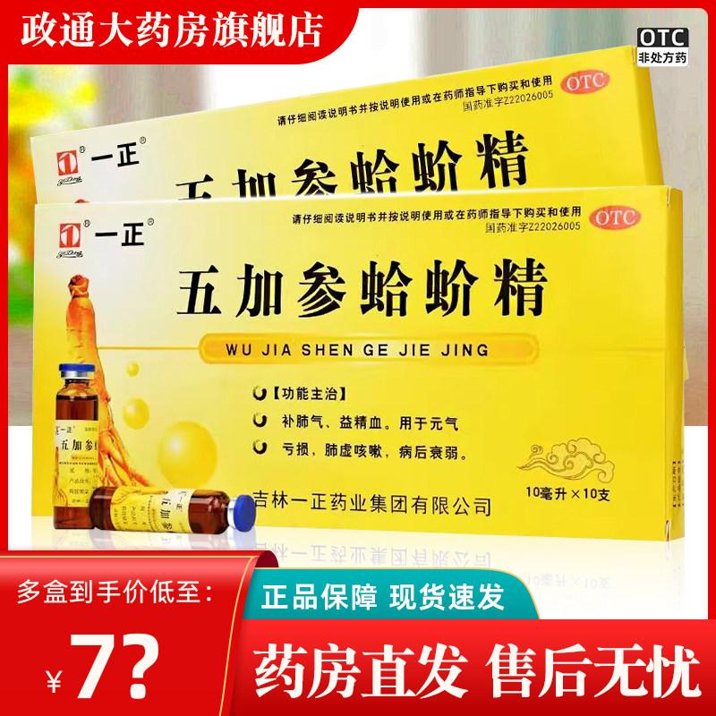 一正五加参蛤蚧精10支非葵花补肺气益精血元气亏损肺虚咳嗽药正品