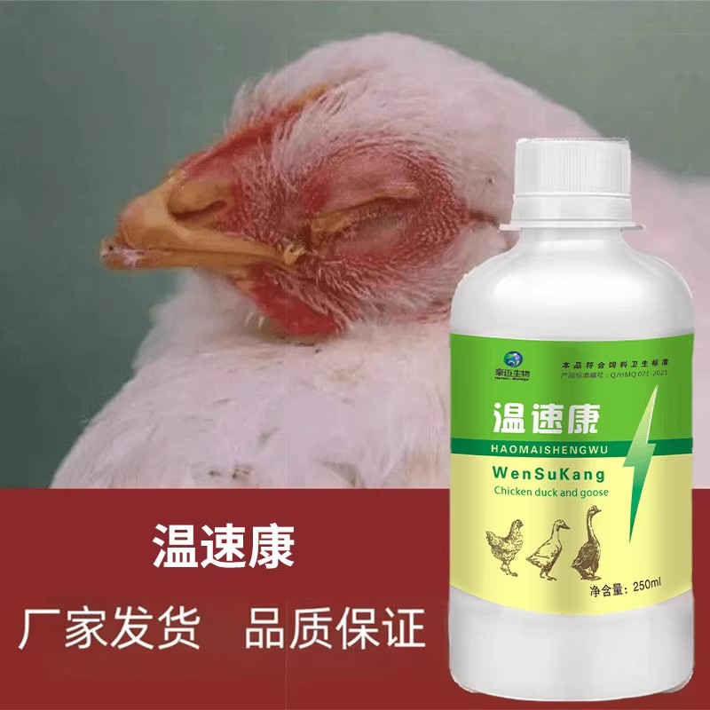 温速康鸡药大全鸡鸭鹅鸽家禽用效抗病毒打蔫缩脖不咳食嗽呼噜专用