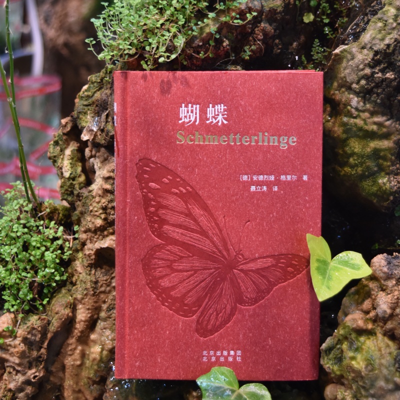 动物肖像 蝴蝶(精)