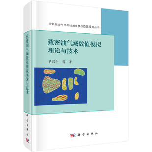 书籍 致密油气藏数值模拟理论与技术 当当网正版