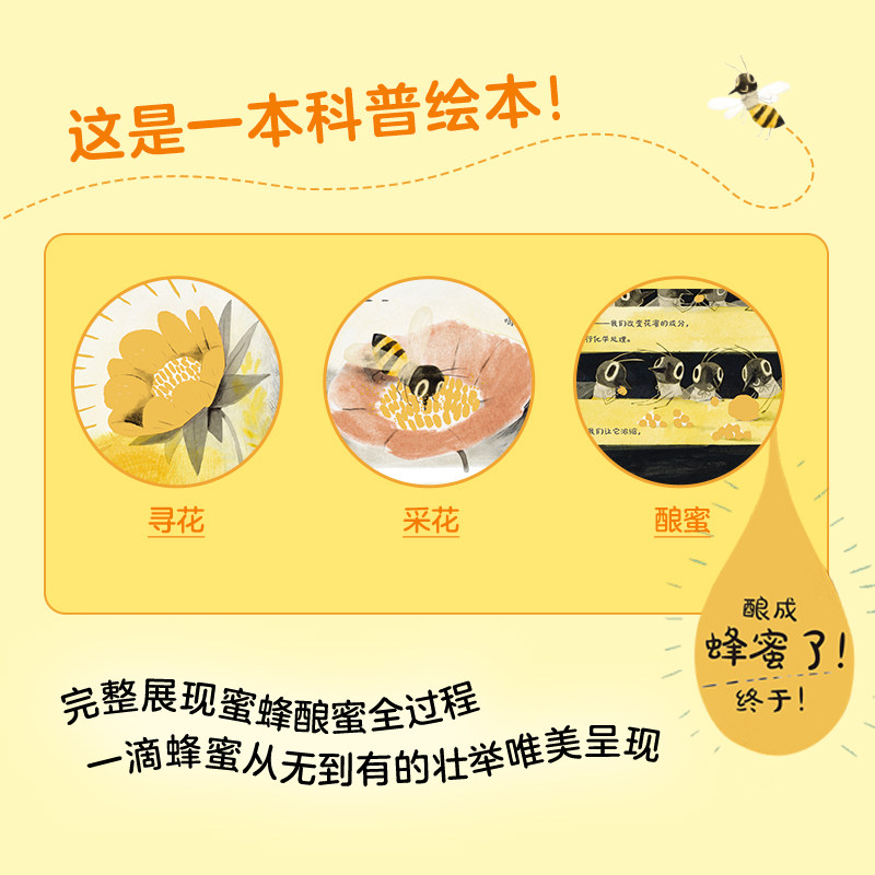 看,蜜蜂!生动展现蜜蜂酿蜜全过程!架起孩子亲近自然的桥梁!