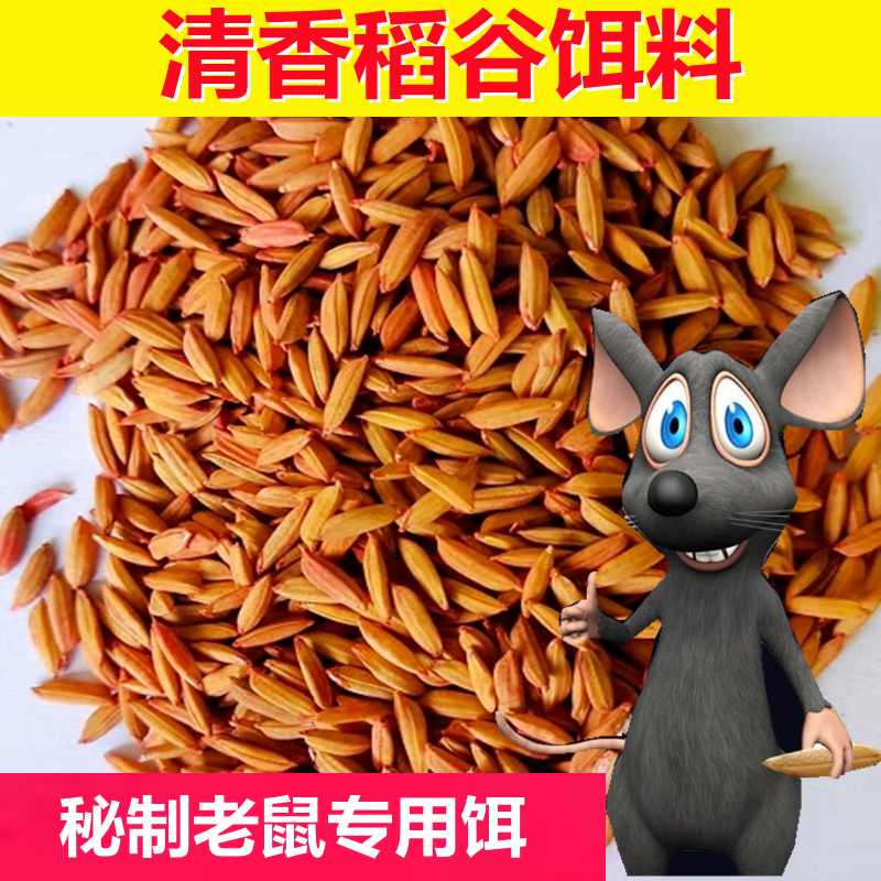 老鼠颗粒饵诱饵稻谷剂诱鼠饵料克星无毒诱饵粘鼠板专用灭鼠引诱剂