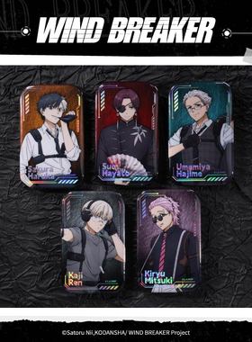 【现货ANIPLEX】WIND BREAKER 防风铃 特工系列反光浮雕徽章