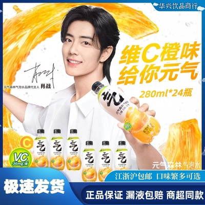 元气森林280ml*24瓶苏打气泡水