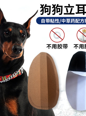 宠物狗狗立耳贴杜宾犬辅助器柴犬矫正免胶水不伤耳朵德牧竖耳神器