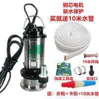 家用潜水泵1寸220V小型抽水泵吸水高扬程家用井水农用清水污水泵