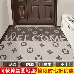 现代入户门垫轻奢地垫门口玄关丝圈脚垫子可剪裁地毯进门网红家用