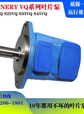 SCENERY S20VQ S25VQ S35VQ S45VQ注塑机压铸机折弯机油泵叶片泵