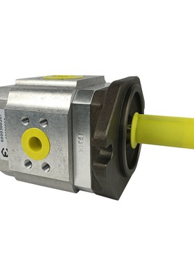 ECKERLE艾可勒齿轮泵EIPH2-025-RK03-11液压泵EIPH3-032-RK23-10