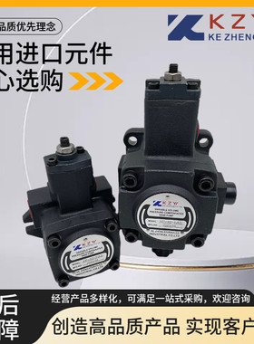 VP-20-FA1科正KZY液压油泵08 12 30 40 15 FA1 FA2 FA3变量叶片泵