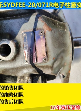 力劲150吨注塑机液压泵億利达 160吨折压机油泵SYDFEE-20/071维修